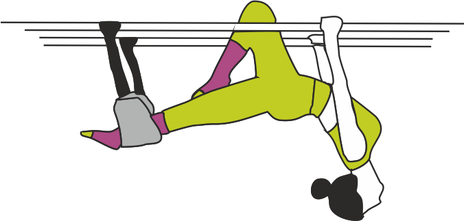Colored Reformer Women Vector.png