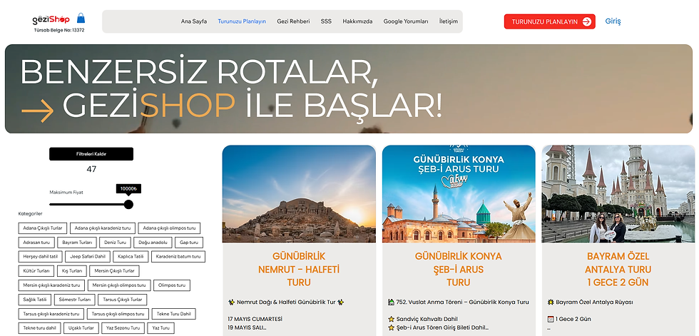 WIX websitesi geliştirici