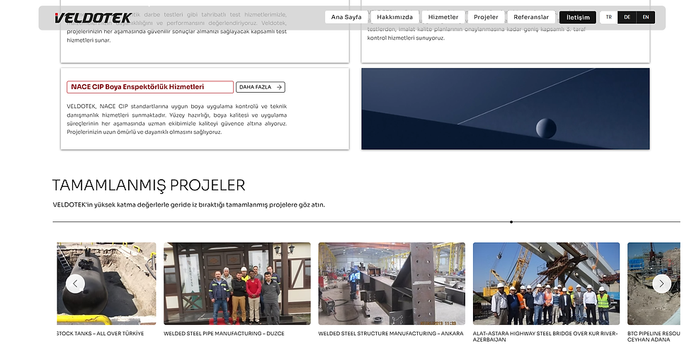 WIX websitesi geliştirici