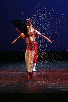 Ballet Magique Snowstorm.JPG