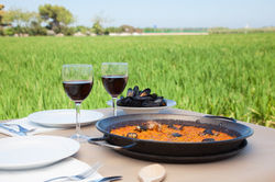 Paella en la Albufera