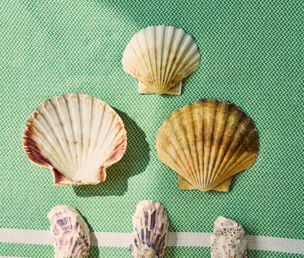 HP_21_YEAR_OLD_2711 copy.jpg