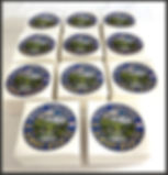 TMMWV ~ West Virginia day stickers.