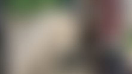 NT- Two Thorn Fields Farm Retaining Wall