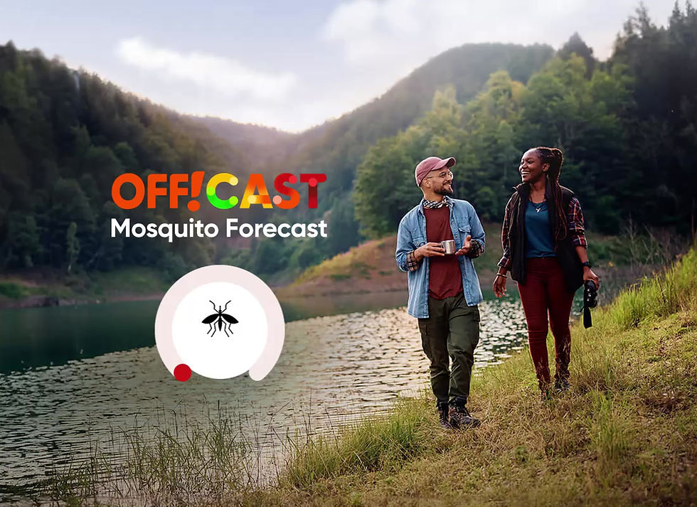 offcast-dial.mp4