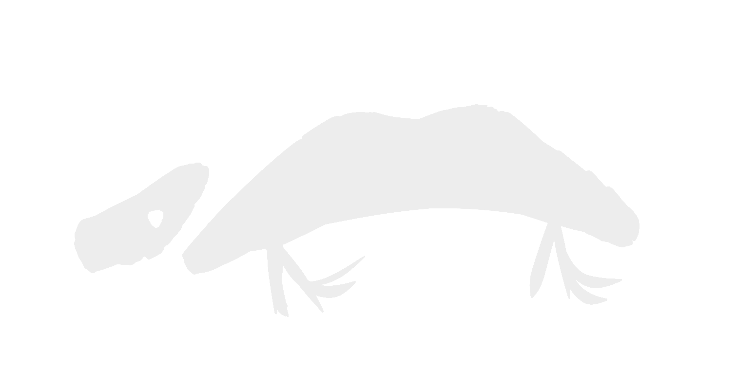 white.png