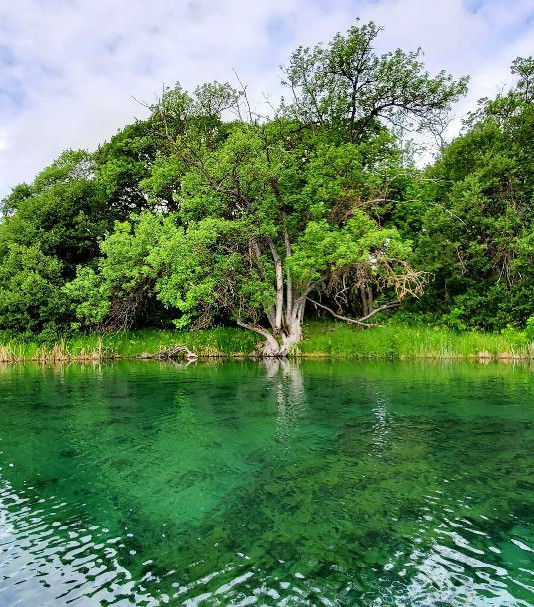 Activities The Perch on the Pit Vacation Rental McArthur, CA