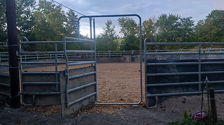 Roundpen kleines Tor.jpg
