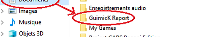 16 - report folder.png