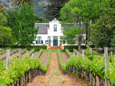 Cape Winelands meets safari: how we combine both in one trip