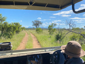 Walking Safaris vs Game Drives: Which Experience Suits You