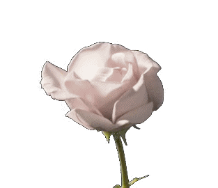 a5b1fc93fcc0d86bbeb529da4c78564d.gif