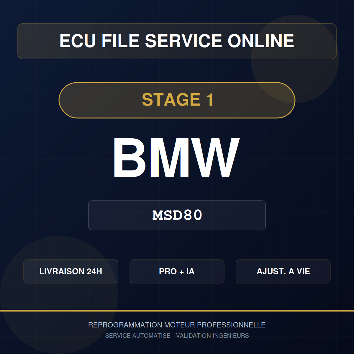 BMW MSD80 Stage 1 - Reprogrammation Pro