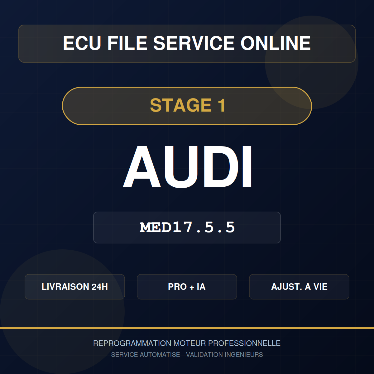 Audi MED17.5.5 Stage 1 - Reprogrammation Pro