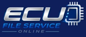 LOGO ECU FILE SERVICE ONLINE.jpg