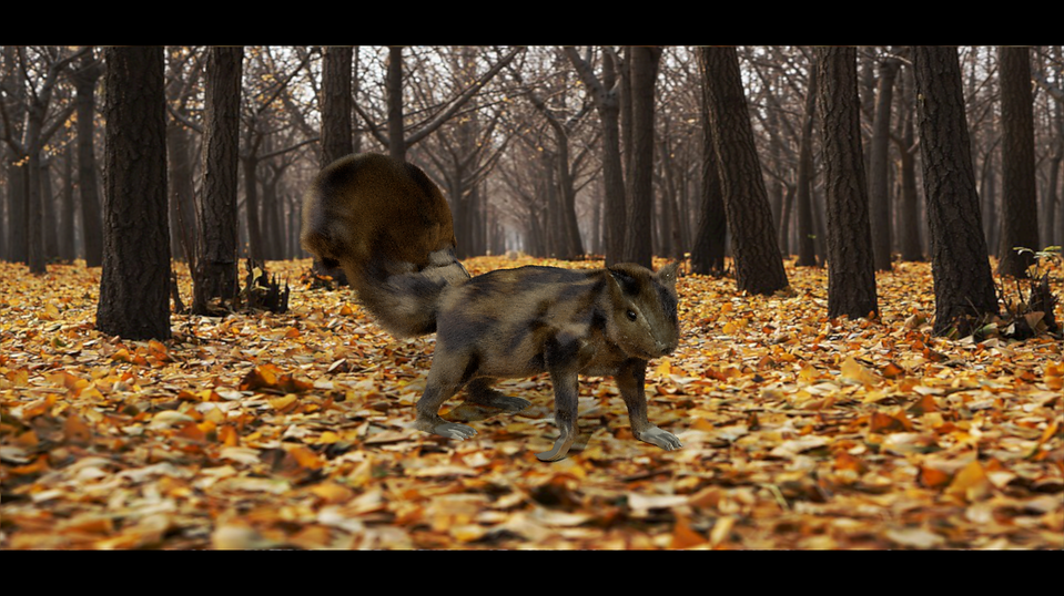 Squirrel_01_0033.png