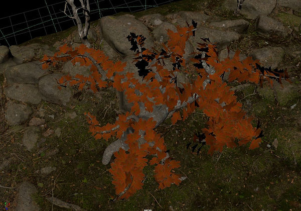 Screenshot_6.jpg