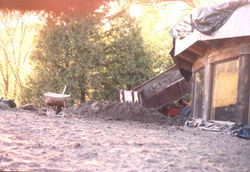 earth_edited-2