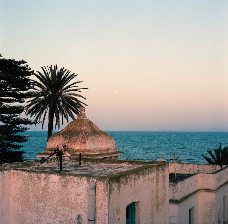 samuel saada copyright (8 sur 12).JPG