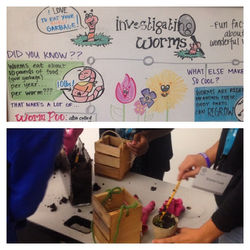 STEM UW-Bothell Festival