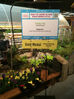 Farmer Frog's Urban Farmstead