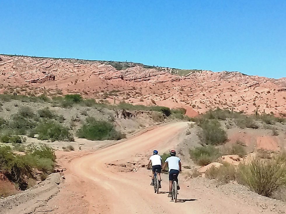 Bicicletas en PNC