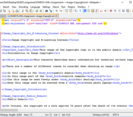 Screenshot of XML in Notepad++