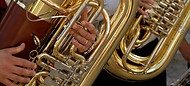 TubA