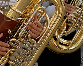 TubA