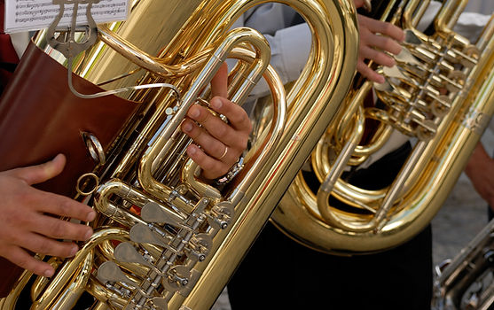 TubA
