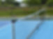 Net Close up blurry background.jpeg
