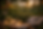 Copilot_20260424_112841.png