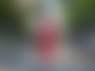 Hersheypark has announced a new attraction for summer 2025, inspired by the Twizzlers candy (video within article).