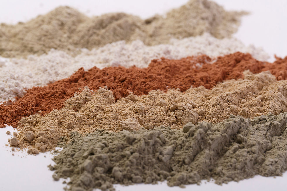 _EST0242 (Conflicted copy from DESKTOP-N6D5OPT on 2017-08-19).jpg