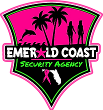 ECSA - WEB - Logo - Footer - Pink.png