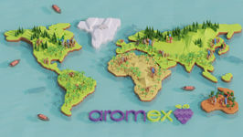 Low Poly Map