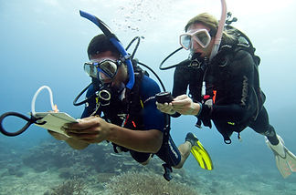 Cambodia Diving Academy Padi Underwater Navigation.jpg