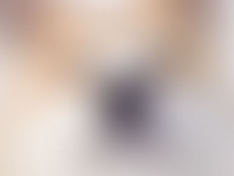 夥拍 Google 秋田犬發祥地推狗隻視點街景圖