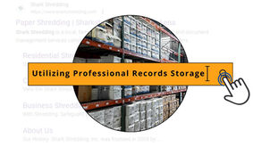 Shark Shredding's Summer 2024 Newsletter