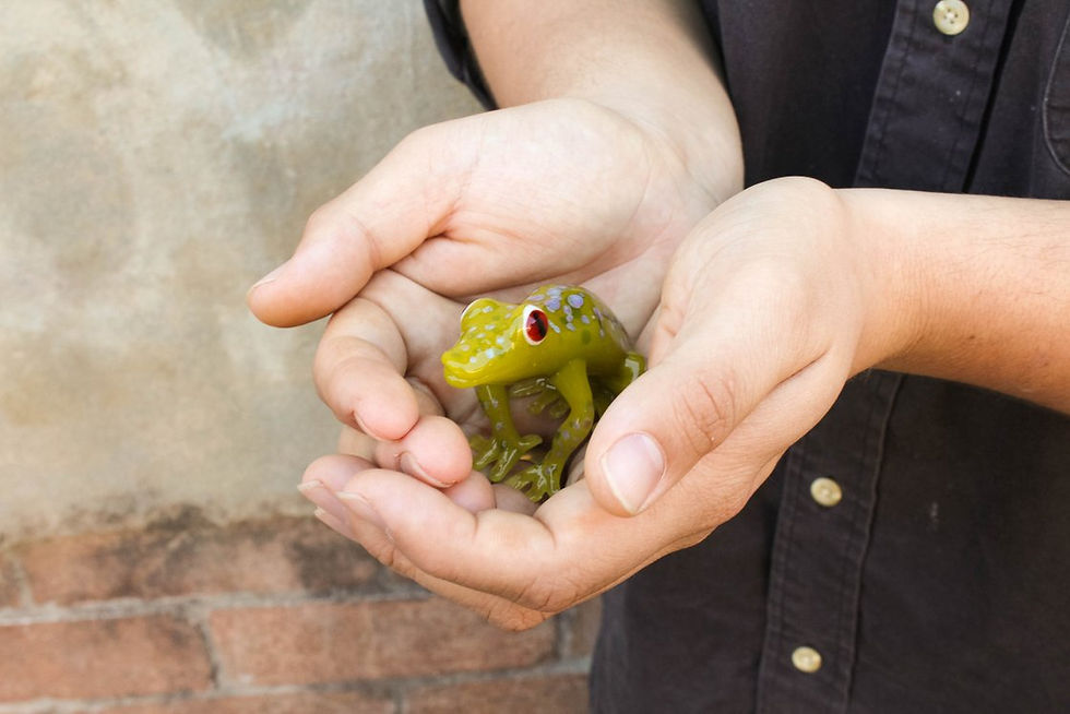 Thumbnail: Borosilicate Glass Frog by Mark Eliott