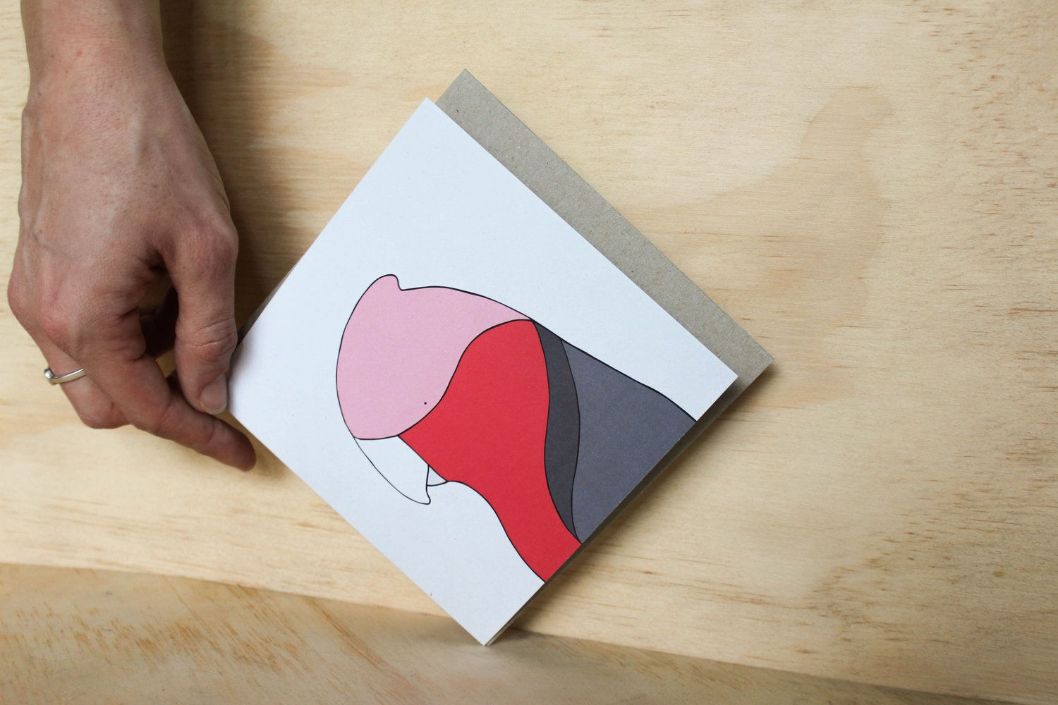 Native Bird Cards by Egg Picnic