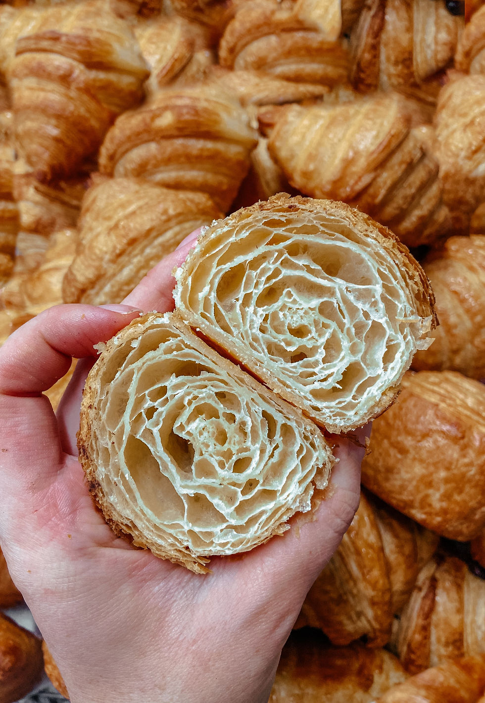 Thumbnail: THE BUNDLE Croissant & Viennoiserie Complete course