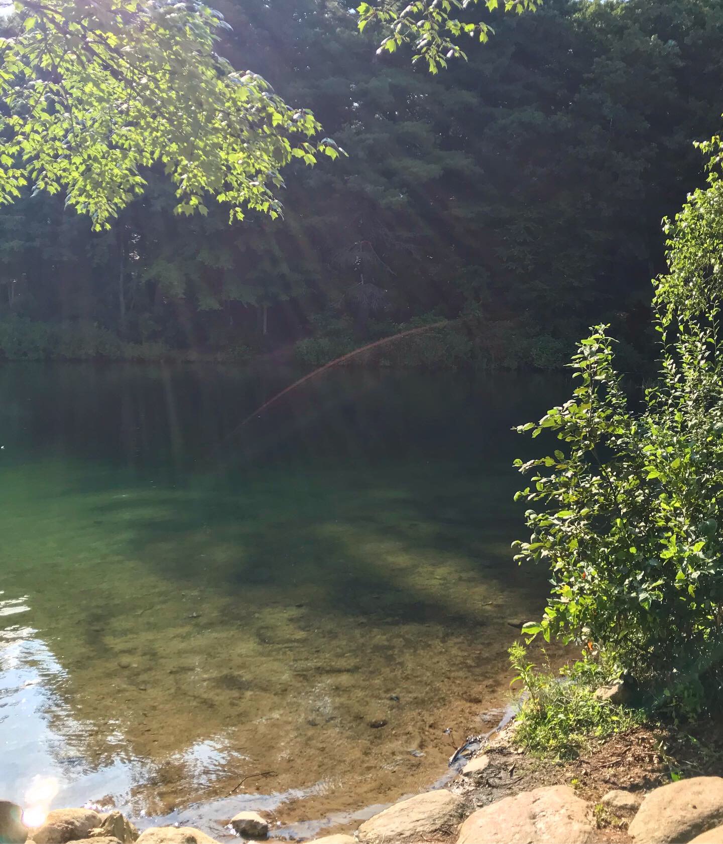 Get Lit on Tour: Walden Pond