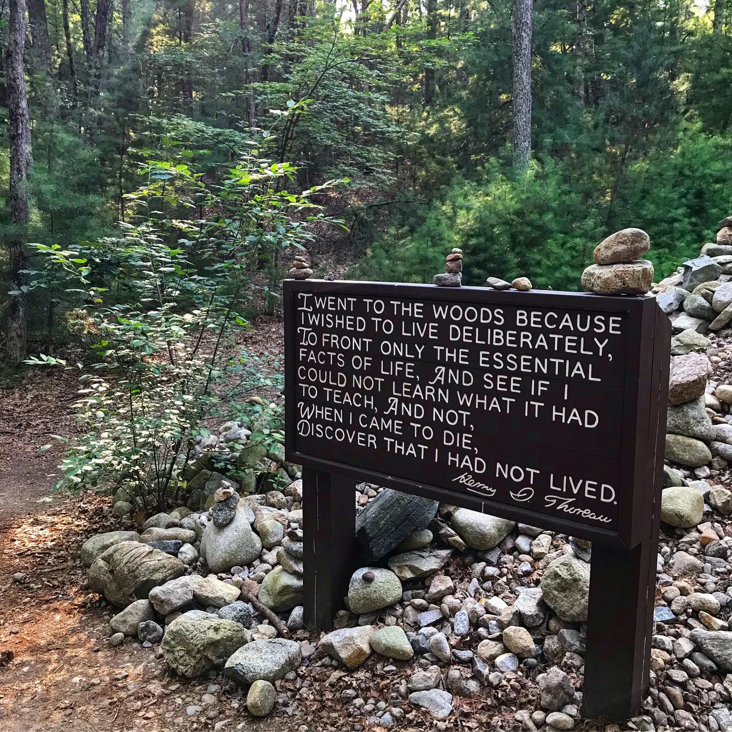 Get Lit on Tour: Walden Pond