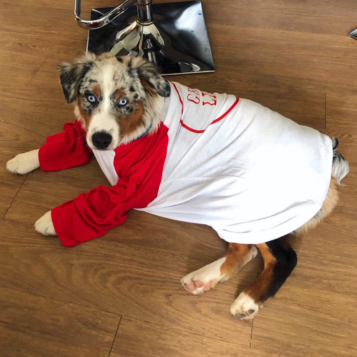 Get Lit Official Mascot: Duke