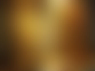 平成28年3月12日(土)各流合同茶会