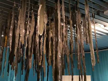 災い転じて福となる