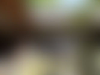 平成28年5月4日(水・祝)第一回「松風の会」 枚岡神社