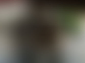 加藤清正の井戸