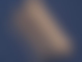 宗真作 竹茶杓「鶴」